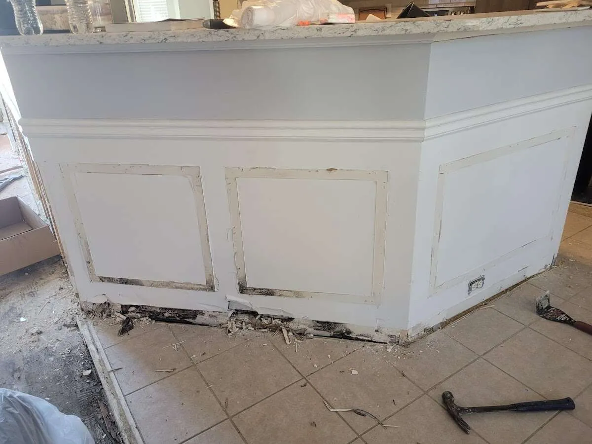 Water damage and mold on kitchen during Sewage Cleanup & Sanitation in Tampa